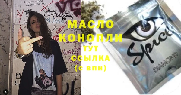индика Зеленодольск