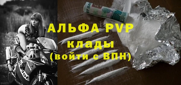 индика Зеленодольск