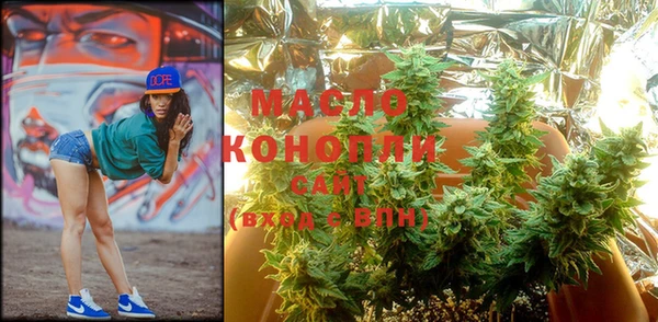 индика Зеленодольск