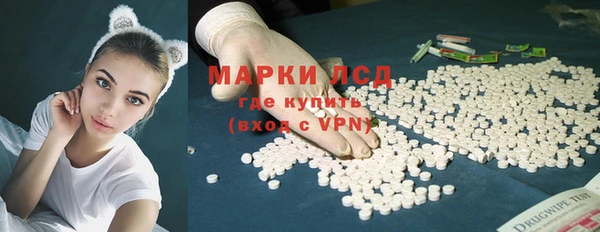 индика Зеленодольск