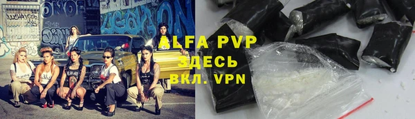 индика Зеленодольск