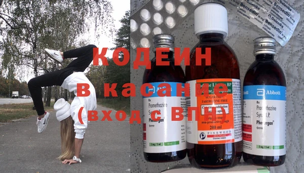 индика Зеленодольск